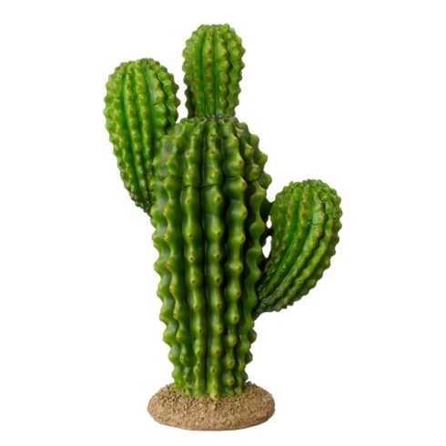 Kaktus Design 3, ca. 32x20cm